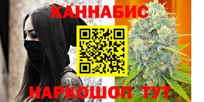 стаф Заводоуковск
