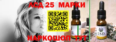 стаф Заводоуковск