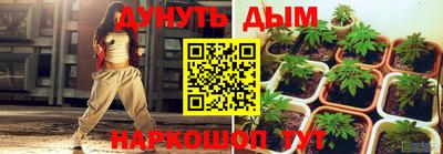 стаф Заводоуковск