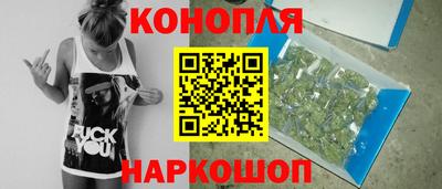 стаф Заводоуковск