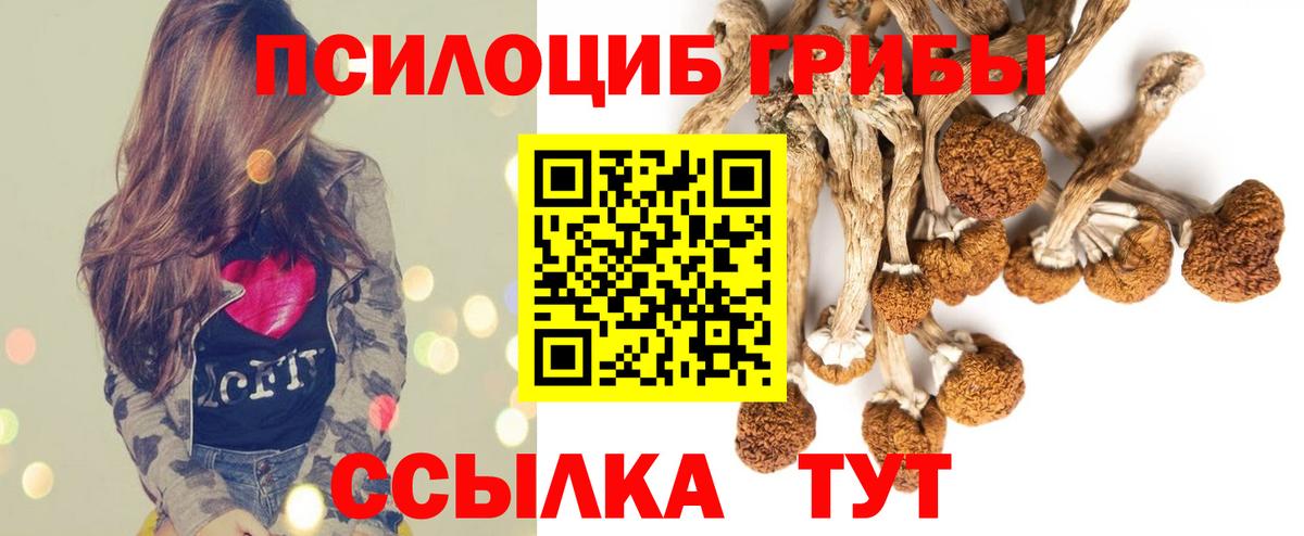 Псилоцибиновые грибы Magic Shrooms  Вход с VPN  продажа наркотиков  Майкоп 